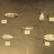 �l�nek 4. T�pytky RYNA, 1970