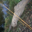 Dětský prut bambusový, dvoudílný, délka složeného prutu cca 220 cm. Lakovaný, vyvazovaný, s vodicími očky (naváděcí očko s keramickou vložkou) a očkem koncovým, s dřevěnou rukojetí s posuvnými kroužky k upevnění navijáku.