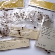 Um�l� mu�ka lipanov� mokr� (V�eli�ka, Wilow Fly, Olive Dun, Orange Dun, Coachmann), druh 821, velikost 16 - 18. Cena 2,30 K�s. V�robce ZNAK HK. Origin�ln� balen� v celof�nov�m s��ku.